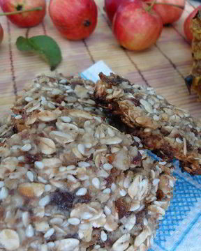 Овсяное печенье на меду