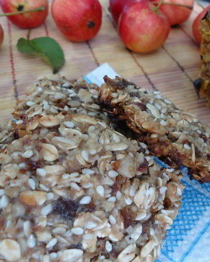 Рецепт овсяного печенья на меду