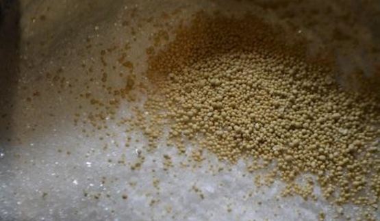 дрожжевой пирог с капустой и вешенками