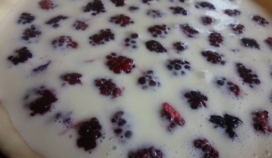 сметанный пирог на творожном тесте