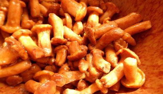 пирожки с кабачком и лисичками грибная поляна