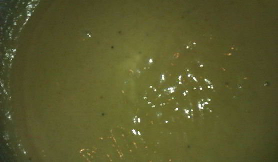 пирожное бисквитное фруктово-шоколадное