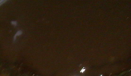 пирожное бисквитное фруктово-шоколадное