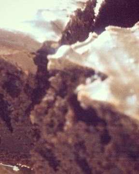 Шоколадный брауни на темном пиве