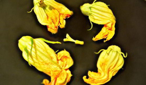 пицца с цветками цукини и лесными грибами