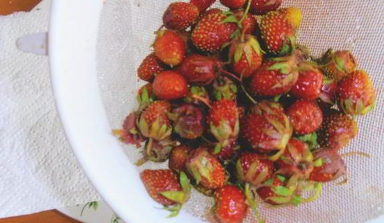 сырники с клубникой