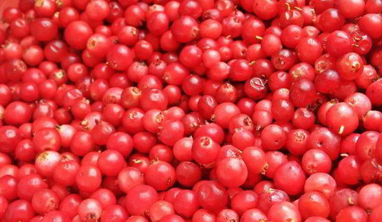 ягодный творожник без муки