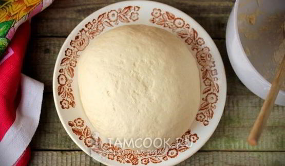 дрожжевое тесто для жареных пирожков