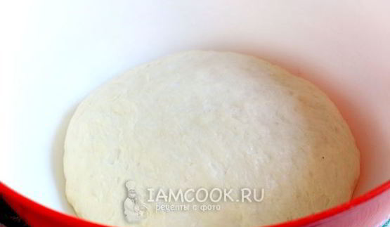 дрожжевое тесто на кефире для пиццы