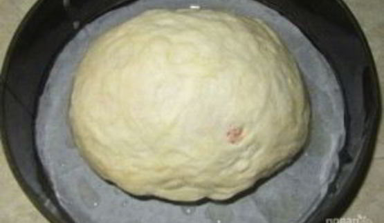 кислое дрожжевое тесто