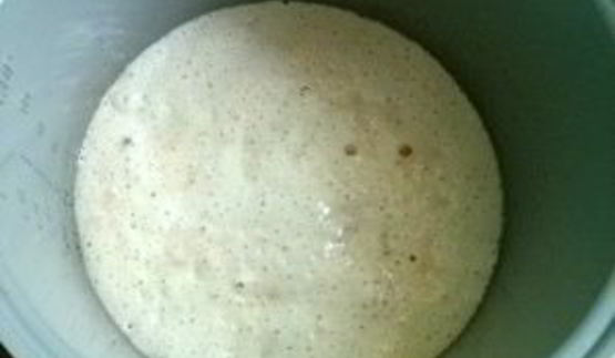 опарное дрожжевое тесто