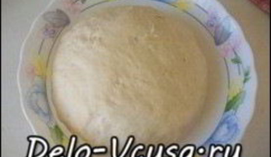 пресное дрожжевое тесто для пиццы