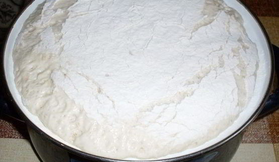 сдобное дрожжевое тесто и булочки