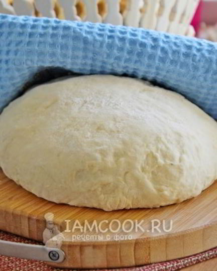 Рецепт теста для пирогов на майонезе