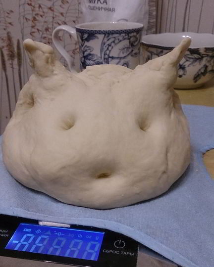 Рецепт тонкого теста для пиццы с медом