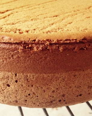 Бисквит медовый