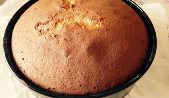 бисквит медовый