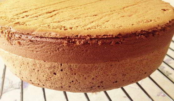 бисквит медовый