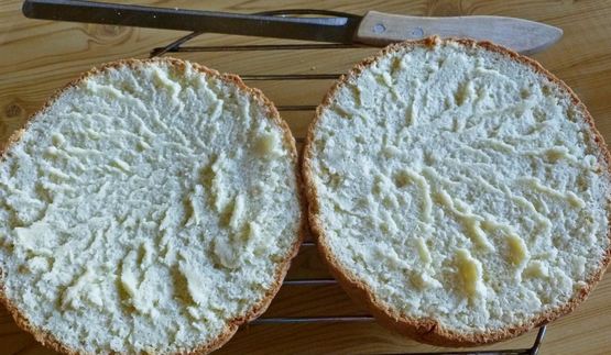 мокрый бисквит