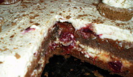 рулетоторт с шоколадным муссом