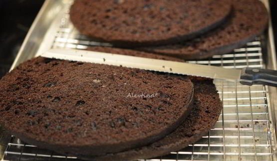шоколадный торт с клюквой