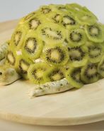 Торт Черепаха лайт