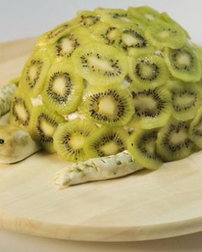 Торт Черепаха лайт