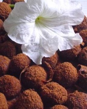 Торт по поводу