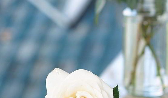 торт птичье молоко