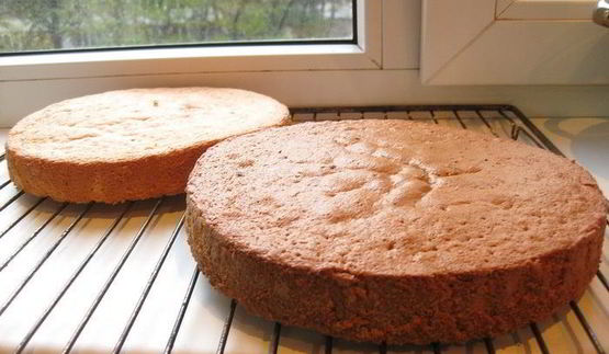 торт вишневый панчо