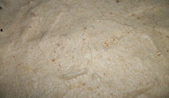 тортэкзотический