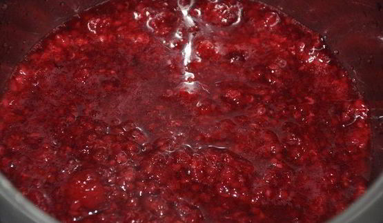 тыквенно-шоколадный торт-купол с малиновым желе