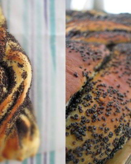 Рецепт вкусных рулетов из сдобного теста с маком