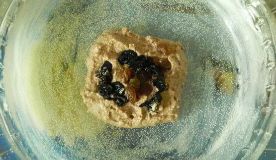 творожная запеканка зебра