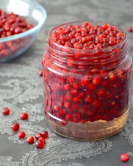 Рецепт брусники на зиму без варки