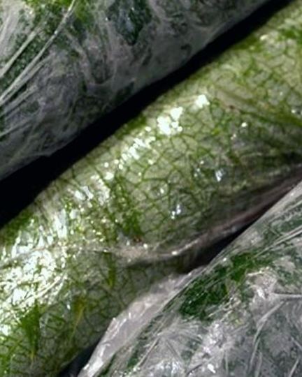 Рецепт долмы на зиму