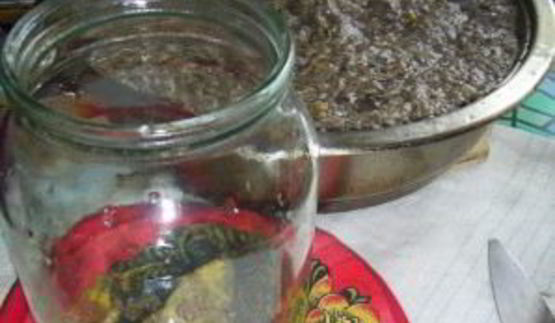 грибная икра на зиму