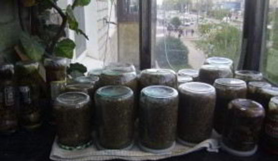 грибная икра на зиму