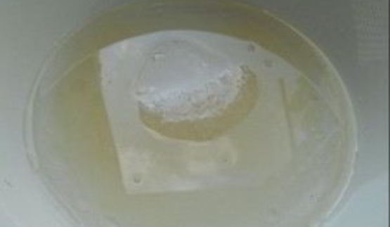 кабачки и патиссоны на зиму