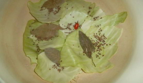 капуста квашеная