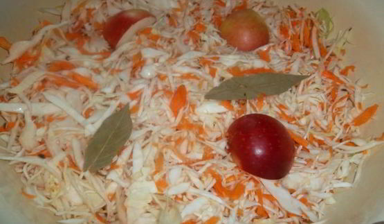 капуста квашеная
