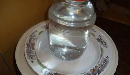 капуста квашеная