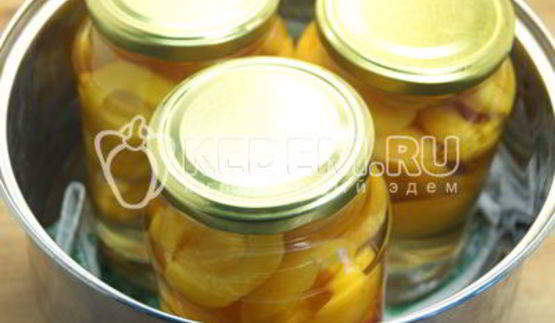 компот из абрикосов