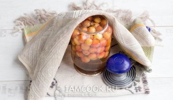 компот из черешни