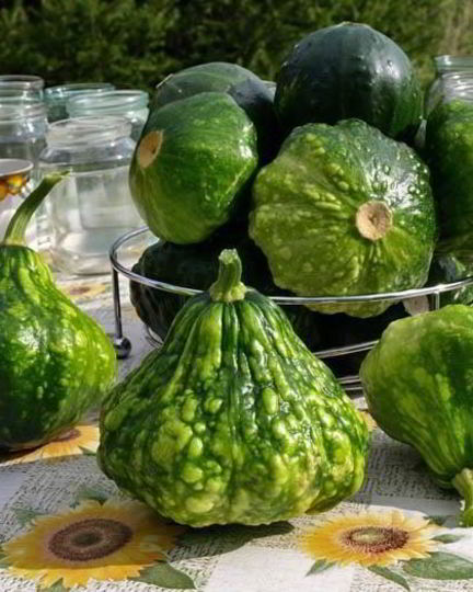 Рецепт консервации патиссонов на зиму