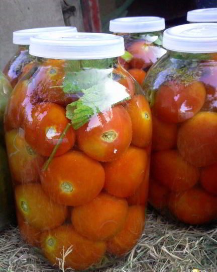 Рецепт квашенных помидоров по-русаковски