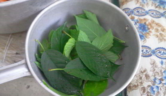 квашенные помидоры по-русаковски