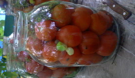 квашенные помидоры по-русаковски