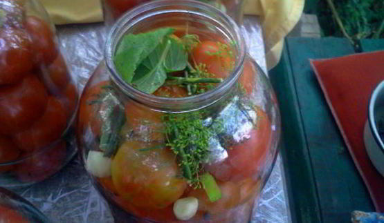 квашенные помидоры по-русаковски