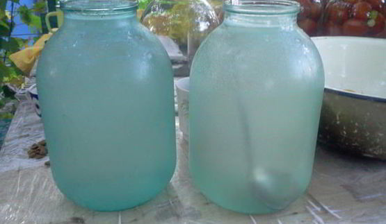 квашенные помидоры по-русаковски